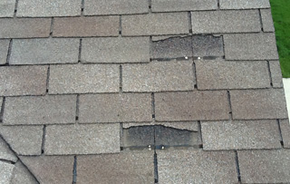 Missing, cracked, or curled shingles